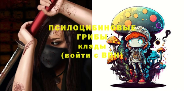 кокс Алексин