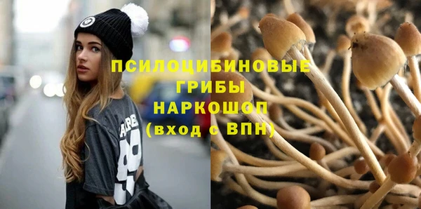 дмт Абинск